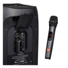 JBL Wireless Two Microphone System