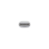 Apple USB-C to Lightning Adapter