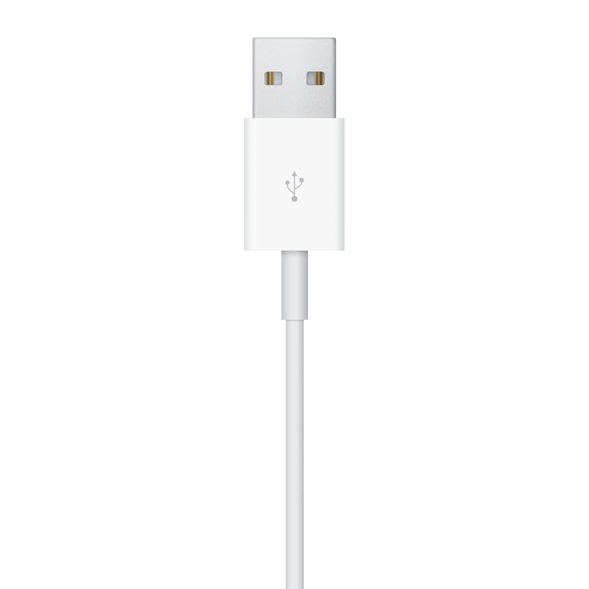 Apple Watch Magnetic Charging Cable (1 m) Apple Watch Magnetic Charging Cable (1 m)