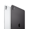 11 inch iPad Pro-M4 WiFi 256GB (2024)