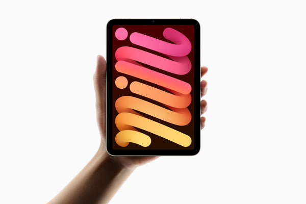ipadmini_grande.jpg?v=1730027155
