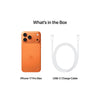 Apple iPhone 17 Pro Max 12GB 256GB