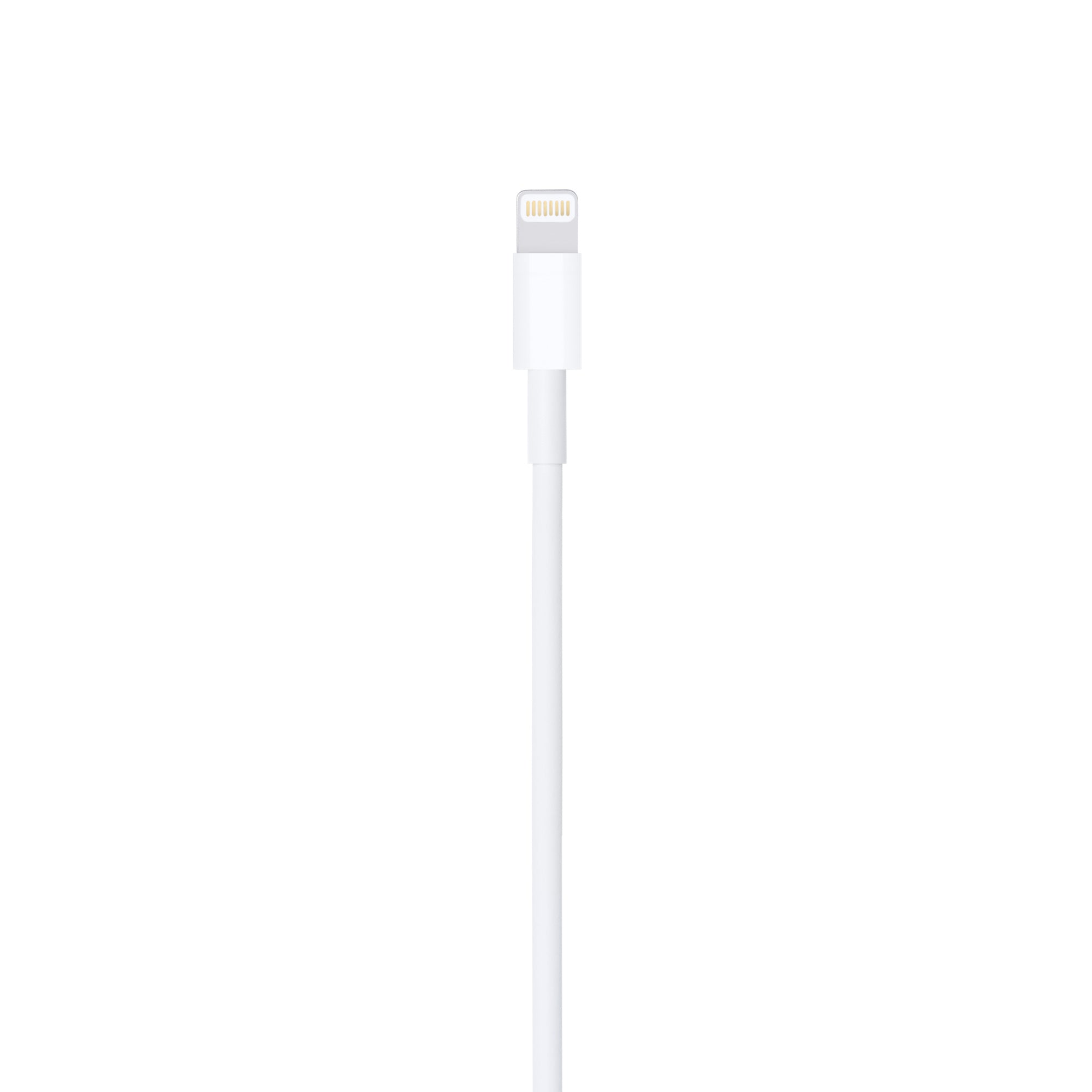 Apple USB to Lightning Cable 2m Apple USB to Lightning Cable 2m